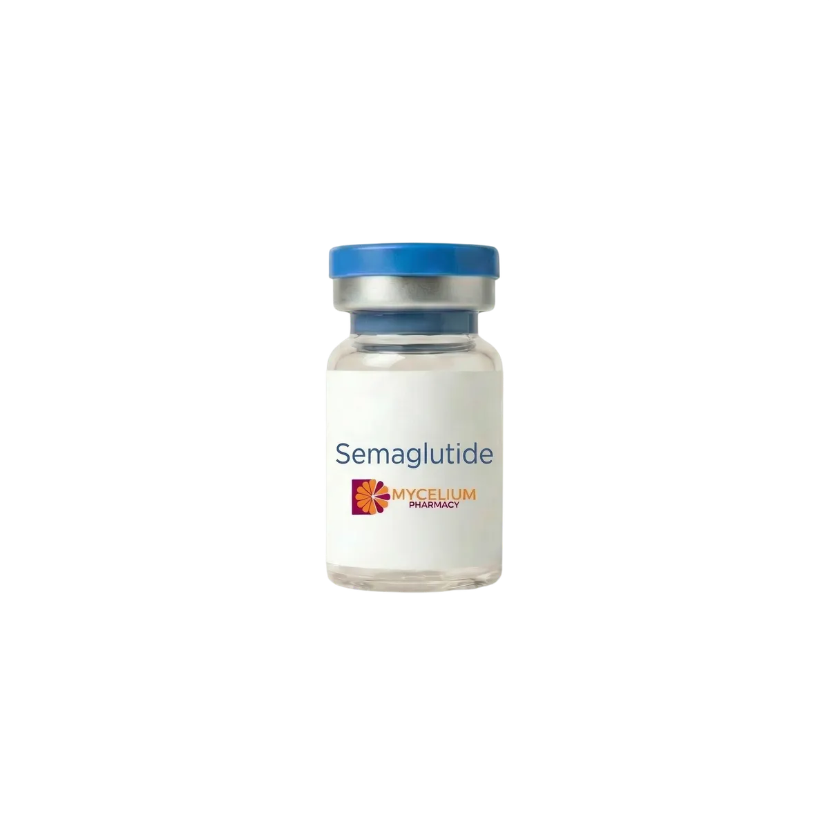Semaglutide + B6 Injectable
